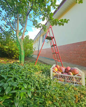 Дом 296м², 2-этажный, участок 6 сот.