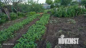 Дом 47м², 2-этажный, участок 6 сот.