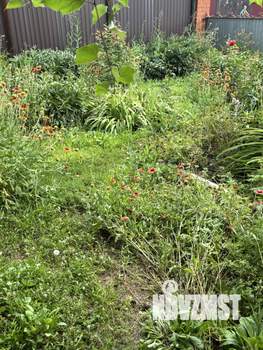 Дом 50м², 1-этажный, участок 10 сот.