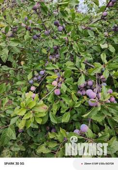 Дом 20м², 2-этажный, участок 7 сот.