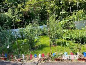 Дом 52м², 1-этажный, участок 9 сот.