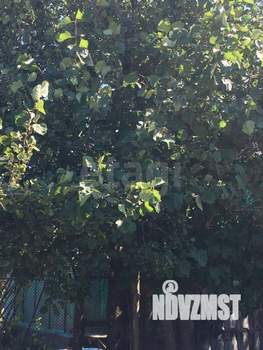 Дом 27м², 1-этажный, участок 10 сот.