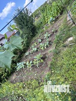 Дом 50м², 1-этажный, участок 10 сот.