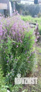 Дом 18м², 1-этажный, участок 5 сот.