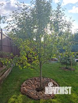 Дом 30м², 1-этажный, участок 6 сот.