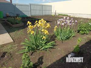 Таунхаус 100м², 1-этажный, участок 4 сот.