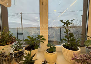 Дом 92м², 1-этажный, участок 5 сот.