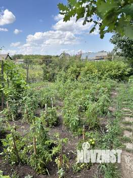 Дом 50м², 1-этажный, участок 10 сот.