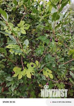 Дом 20м², 2-этажный, участок 7 сот.