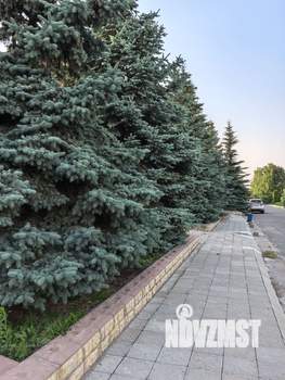 Коттедж 650м², 2-этажный, участок 9 сот.