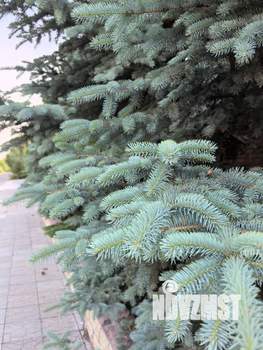 Коттедж 650м², 2-этажный, участок 9 сот.