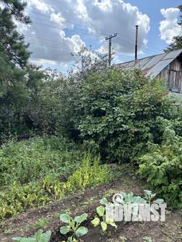 Дом 50м², 1-этажный, участок 10 сот.