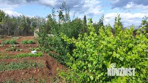 Дом 20м², 1-этажный, участок 6 сот.