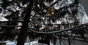 Дом 73м&sup2;, 1-этажный, участок 6 сот.  