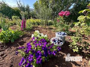 Дом 15м&sup2;, 1-этажный, участок 11 сот.  