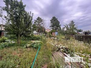 Дача 15м², 1-этажный, участок 0 сот.  