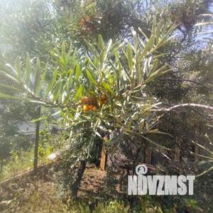 Дом 22м&sup2;, 2-этажный, участок 10 сот.  