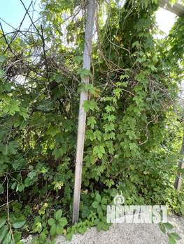 Дом 30м&sup2;, 2-этажный, участок 6 сот.  