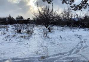 Дом 36м&sup2;, 1-этажный, участок 12 сот.  