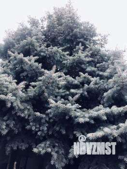 Дом 80м², 1-этажный, участок 5 сот.  