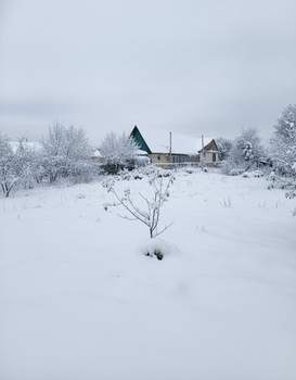 Дом 43м&sup2;, 1-этажный, участок 14 сот.  