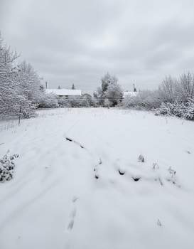 Дом 43м&sup2;, 1-этажный, участок 14 сот.  