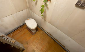 Дом 30м², 1-этажный, участок 4 сот.  