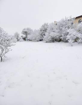 Дом 43м&sup2;, 1-этажный, участок 14 сот.  