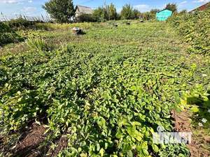 Дом 15м&sup2;, 1-этажный, участок 11 сот.  