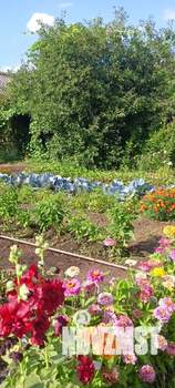 Дом 18м², 1-этажный, участок 5 сот.  