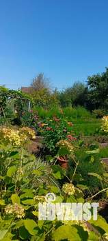 Дом 15м&sup2;, 1-этажный, участок 6 сот.  