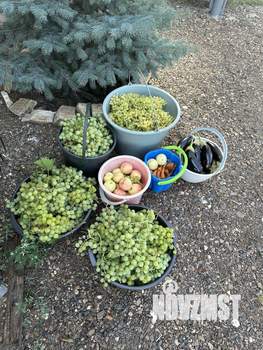 Дом 18м², 2-этажный, участок 10 сот.  