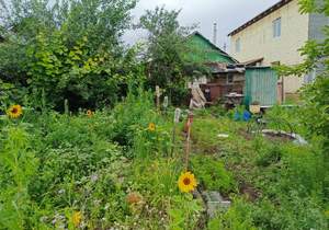 Дом 45м², 1-этажный, участок 4 сот.  