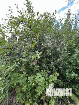 Дом 30м&sup2;, 2-этажный, участок 6 сот.  