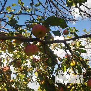 Дом 22м&sup2;, 2-этажный, участок 10 сот.  