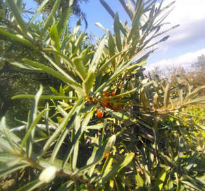 Дом 22м&sup2;, 2-этажный, участок 10 сот.  