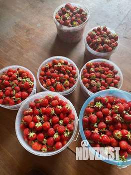 Дом 15м&sup2;, 1-этажный, участок 11 сот.  