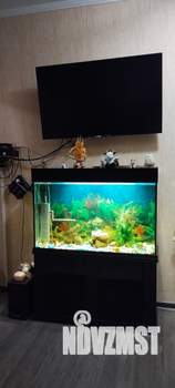 3-к квартира, вторичка, 71м2, 4/10 этаж
