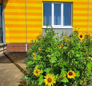 1-к квартира, вторичка, 40м2, 8/24 этаж
