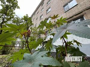 3-к квартира, вторичка, 61м2, 5/6 этаж