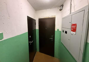 3-к квартира, вторичка, 66м2, 10/10 этаж