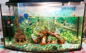 3-к квартира, вторичка, 63м2, 1/9 этаж