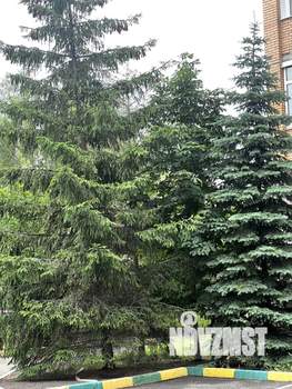 4-к квартира, вторичка, 109м2, 5/8 этаж