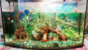 3-к квартира, вторичка, 63м2, 1/9 этаж