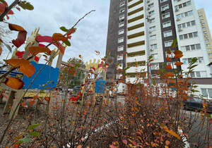 1-к квартира, вторичка, 27м2, 6/18 этаж