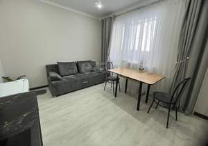 Студия квартира, вторичка, 20м2, 13/17 этаж