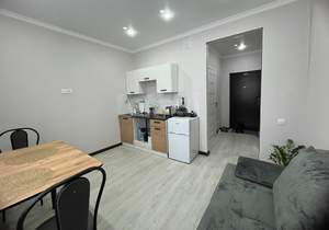 Студия квартира, вторичка, 20м2, 13/17 этаж