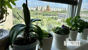 2-к квартира, вторичка, 52м2, 9/12 этаж